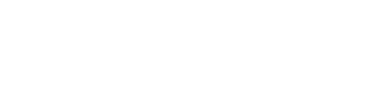 Plurio